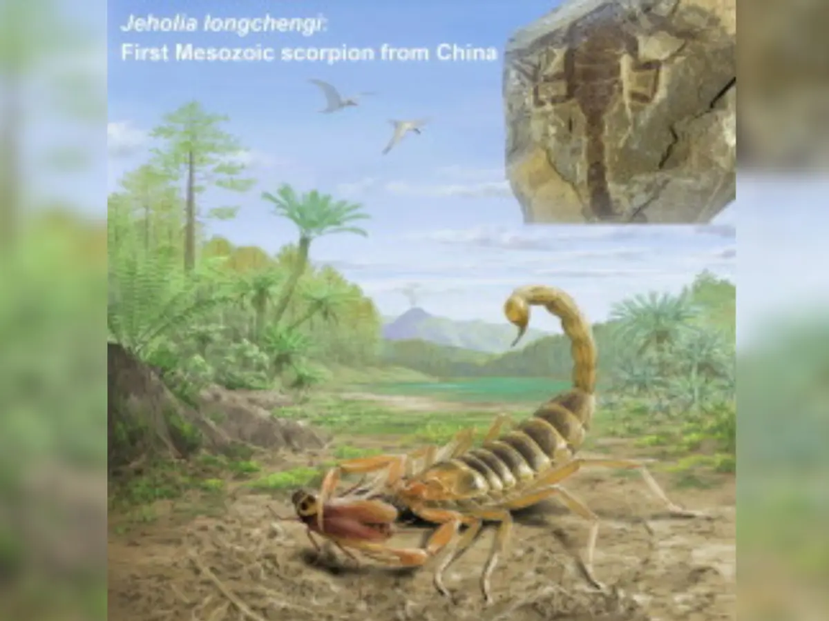 aOSHTMXuYNF7jrPYjztk.png?