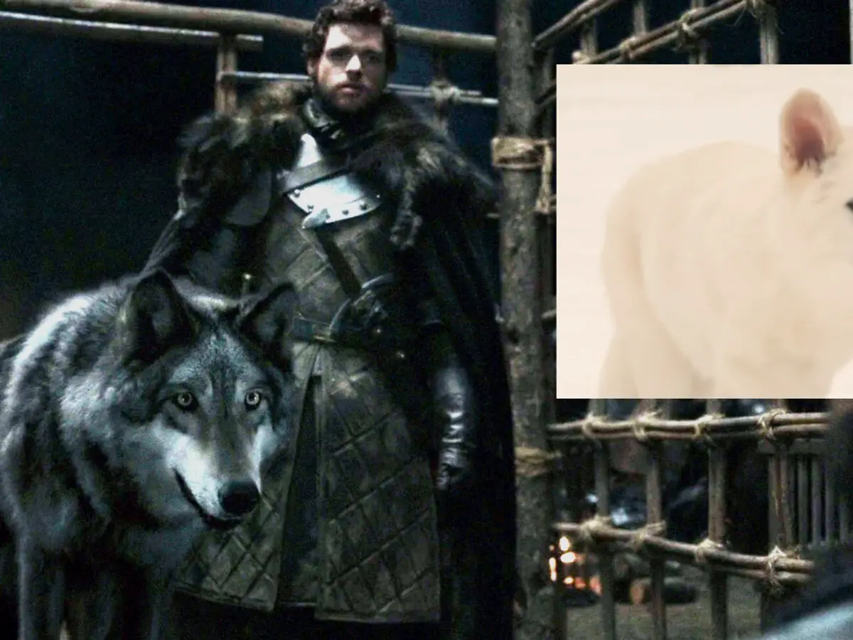 What are dire wolves? Extinct 'Game of Thrones' canine brought back to ...