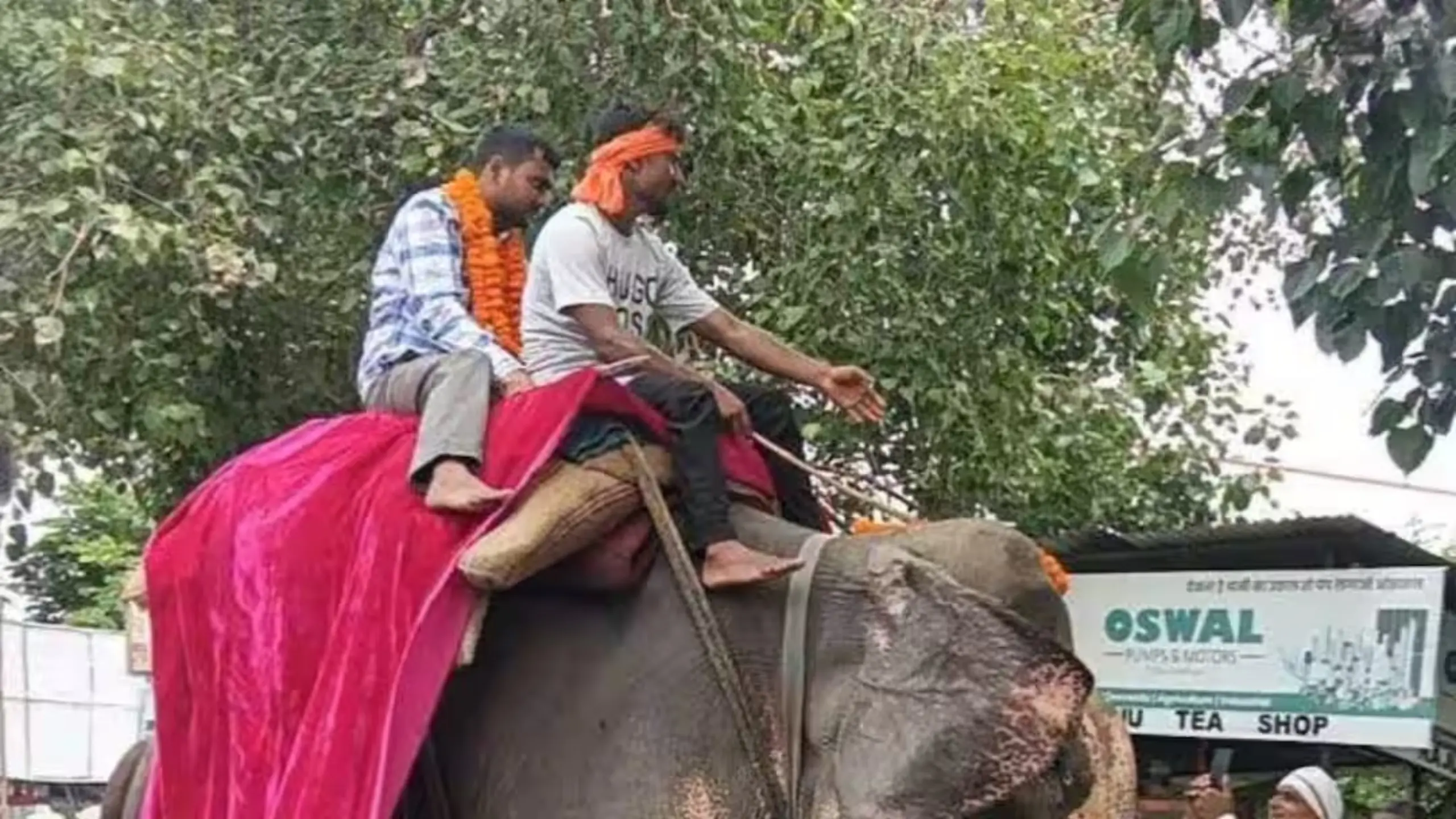 बेटा बना Officer तो खुशी से झूमे पिता, हाथी पर बैठाकर किया शाही स्वागत
