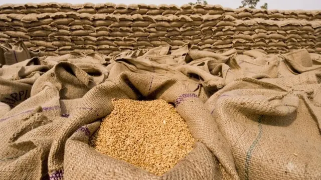 सरकार का बड़ा फैसला, गेहूं के Export से हटाई गई Restriction