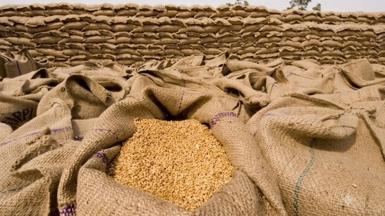 सरकार का बड़ा फैसला, गेहूं के Export से हटाई गई Restriction