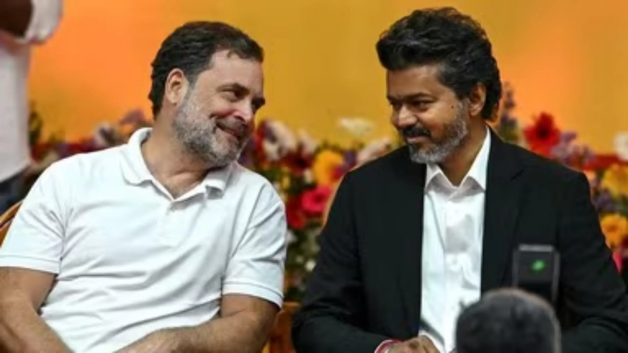 ‘CM विजय Rahul Gandhi को मानते हैं PM उम्मीदवार..’, कांग्रेसी नेता ने किया दावा