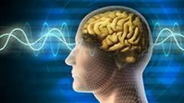 Risk लेने से पहले दिमाग में क्या होता है! क्या 0.5 सेकंड पहले मिल जाता है Signal