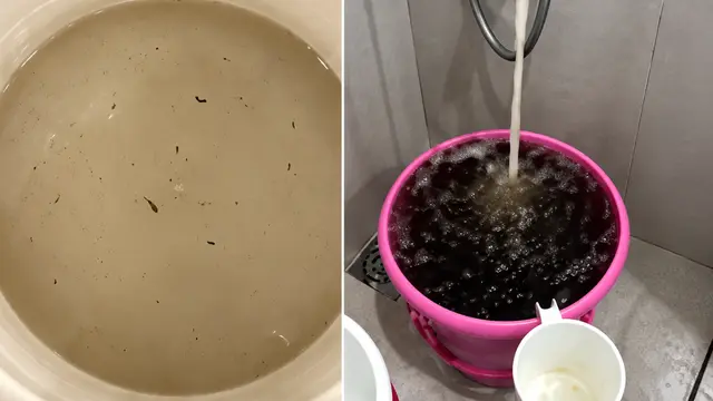 नोएडा की पॉश सोसाइटी की स्थिति खराब, नलों से निकला कीड़े-मकोड़ों वाला काला पानी