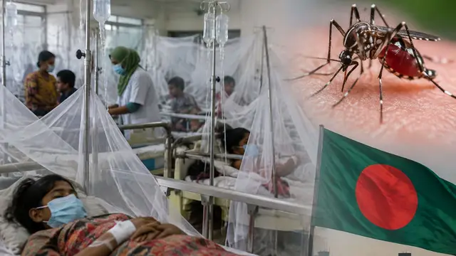 Bangladesh में Dengue का कहर, सितंबर में 87 लोगों की मौत, कुल आंकड़ा 184 पहुंचा