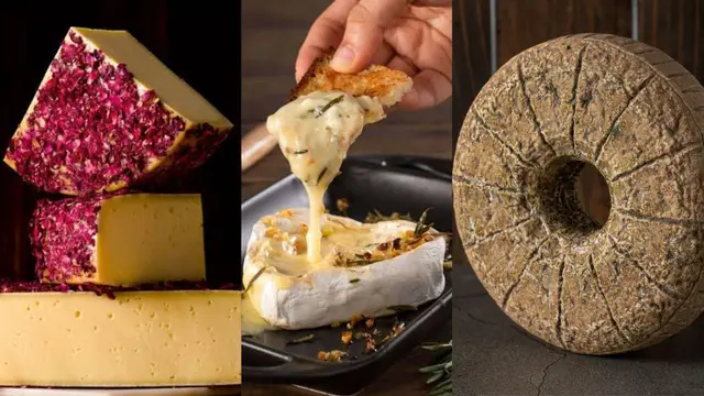 कौन सा ऐसा खास Cheese है, जो PM Modi ने Swiss President को किया गिफ्ट