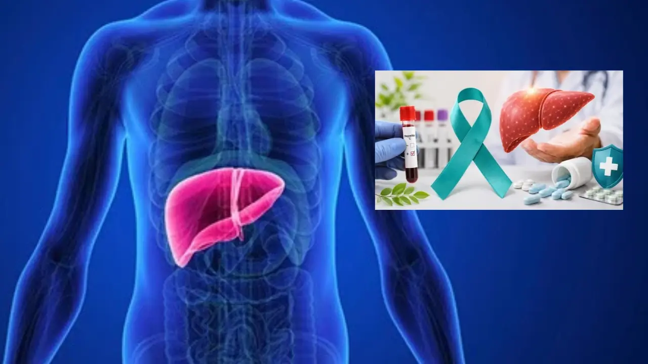 Delhi में Hepatitis B और C की जांच होगी आसान, सरकार ने बनाया नया प्लान