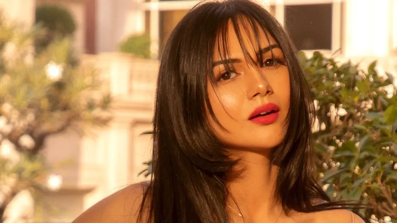 ‘मेरा Divorce पार्टी करेंगे’, Akanksha Chamola के बयान पर मचा बवाल
