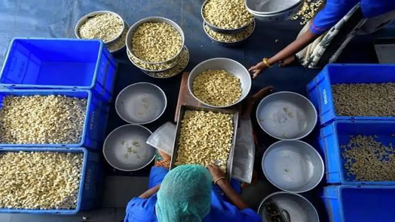 Kerala Cashew Board Recruitment 2026: കേരള കാഷ്യൂ ബോർഡ് ലിമിറ്റഡിൽ വിവിധ തസ്തികകളിൽ ഒഴിവ്