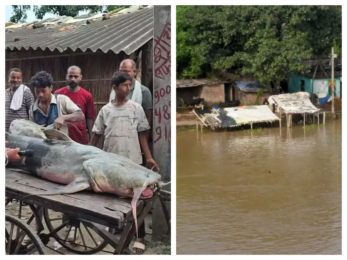 Nepal Flood hit Bihar: മീൻ കഴിച്ചാൽ പണി കിട്ടും! പ്രളയജലത്തിലെ മത്സ്യങ്ങൾക്കെതിരെ ബീഹാർ സർക്കാരിന്റെ മുന്നറിയിപ്പ്