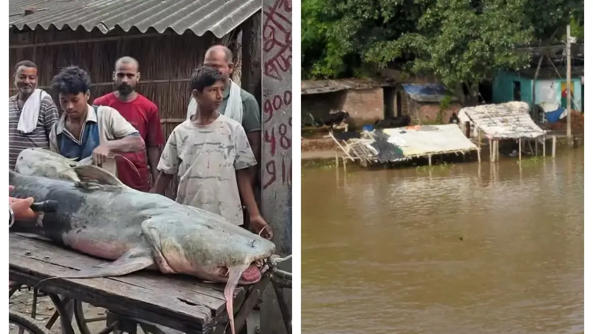 Nepal Flood hit Bihar: മീൻ കഴിച്ചാൽ പണി കിട്ടും! പ്രളയജലത്തിലെ മത്സ്യങ്ങൾക്കെതിരെ ബീഹാർ സർക്കാരിന്റെ മുന്നറിയിപ്പ്