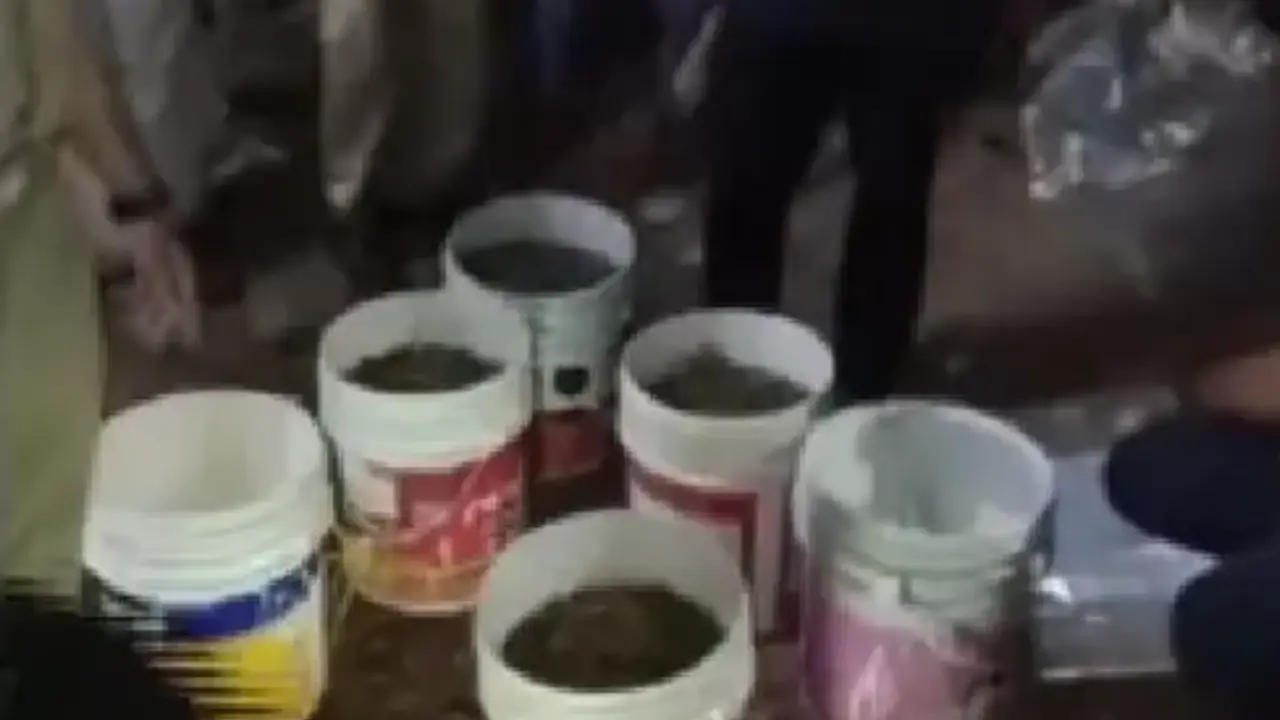 Drug Bust: എക്സൈസിന്റെ മിന്നൽ പരിശോധന; കാക്കനാട് പെയിന്റ് ബക്കറ്റുകളിൽ ഒളിപ്പിച്ച നിലയിൽ കഞ്ചാവ്, 2 പേർ പിടിയിൽ