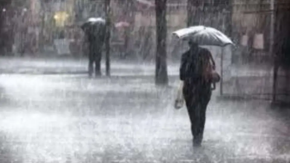 Kerala Weather Report: സംസ്ഥാനത്ത് 3 ദിവസത്തേക്ക് ശക്തമായ മഴ സാധ്യത; 2 ജില്ലകളിൽ യെല്ലോ അലർട്ട്!