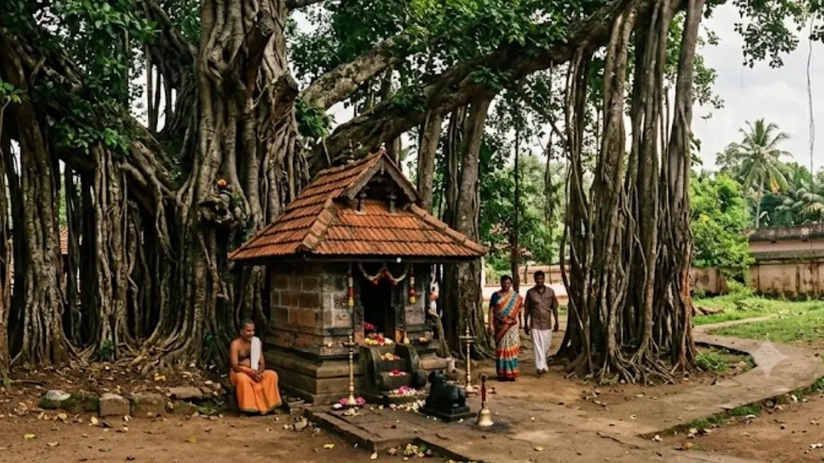 Astrology: ആൽമരപ്രദക്ഷിണത്തിലൂടെ സർവ്വശ്വൈര്യം; എത്ര തവണ പ്രദക്ഷിണം വയ്ക്കണം, ശ്രദ്ധിക്കേണ്ട കാര്യങ്ങൾ ഇവ