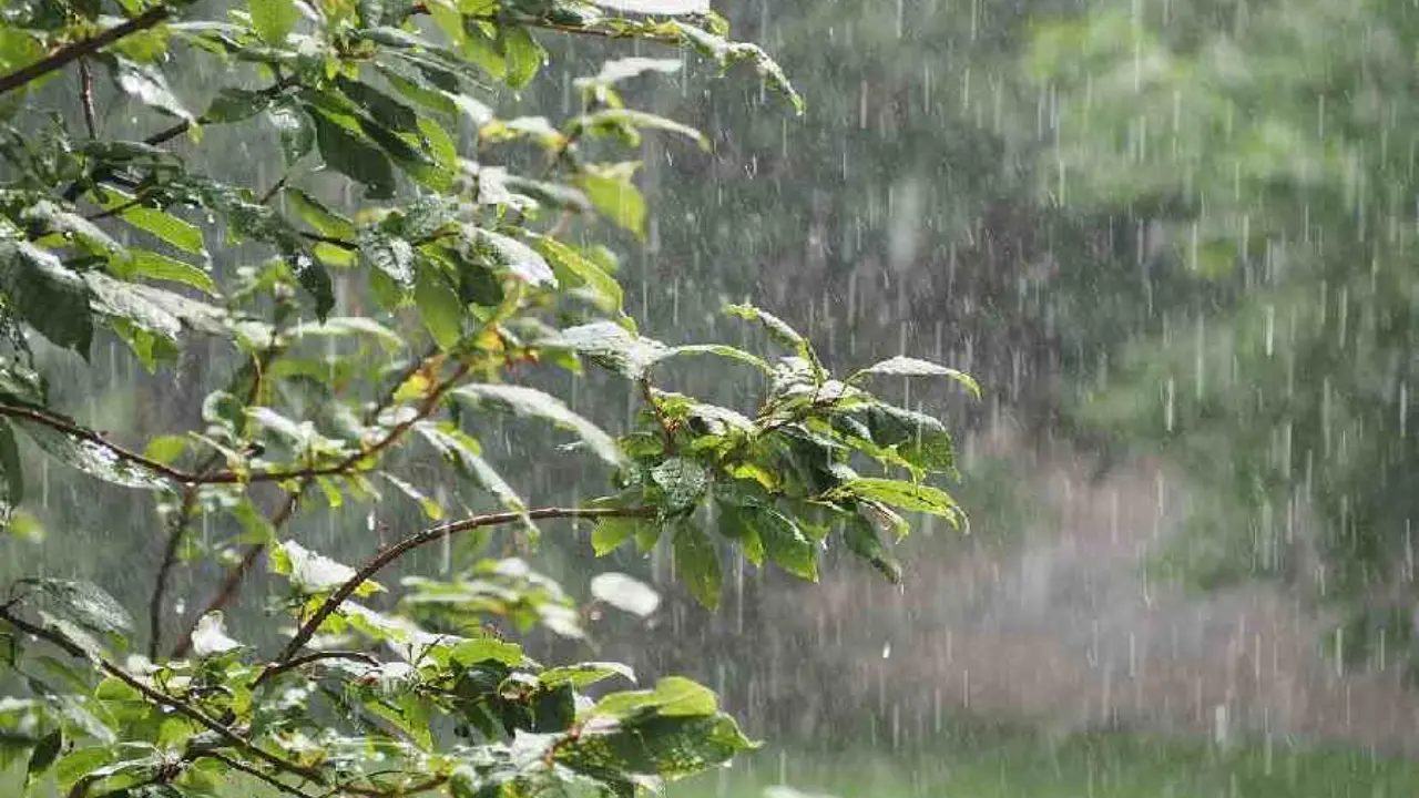 Kerala Rain Updates: വീണ്ടും മഴക്കാലമോ? സംസ്ഥാനത്ത് മഴ മുന്നറിയിപ്പിൽ മാറ്റം; യെല്ലോ അലർട്ട് ഈ ജില്ലകളിൽ