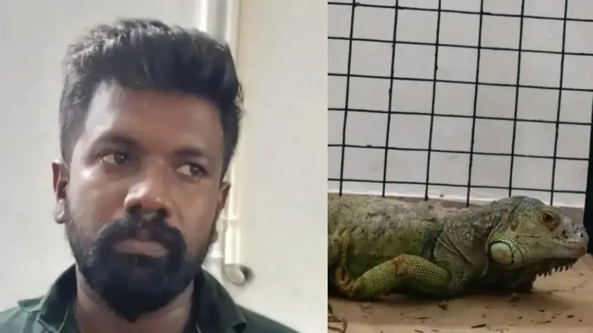Forest Department: വ്യാജ രേഖ ചമച്ച് വിദേശ ഇഗ്വാനയെ വിൽപ്പന നടത്താൻ ശ്രമിച്ചു; വനംവകുപ്പ് യുവാവിനെ പിടികൂടി