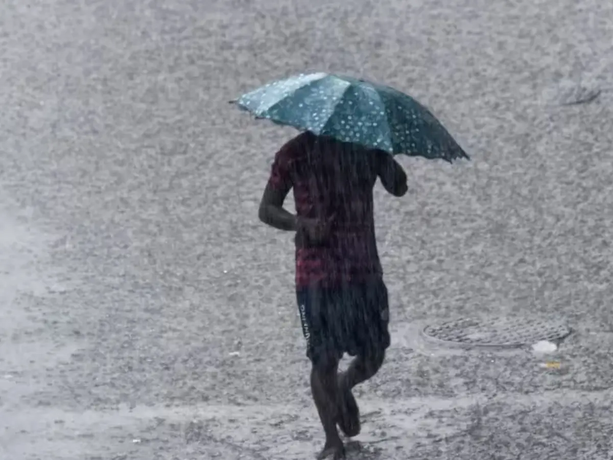 കേരളത്തിൽ മൂന്ന് ദിവസം ശക്തമായ മഴ; ഏഴ് ജില്ലകളിൽ അലർട്ട്