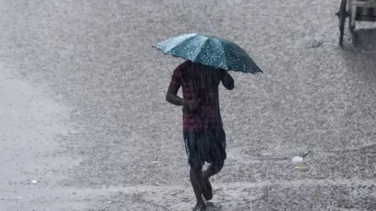 Kerala Rain Updates: അടുത്ത 3 ദിവസം ശക്തമായ മഴയ്ക്ക് സാധ്യത; സംസ്ഥാനത്ത് ഇന്ന് അലർട്ട് ഏഴ് ജില്ലകളിൽ