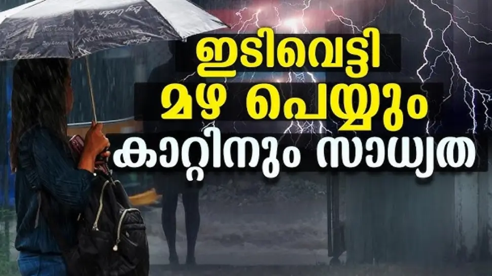Heavy Rain: เดธเดเดธเตเดฅเดพเดจเดคเตเดคเต เดฎเดด เดถเดเตเดคเด; 10 เดเดฟเดฒเตเดฒเดเดณเดฟเตฝ เดเดฑเดเตเดเต เด
เดฒเตผเดเตเดเต