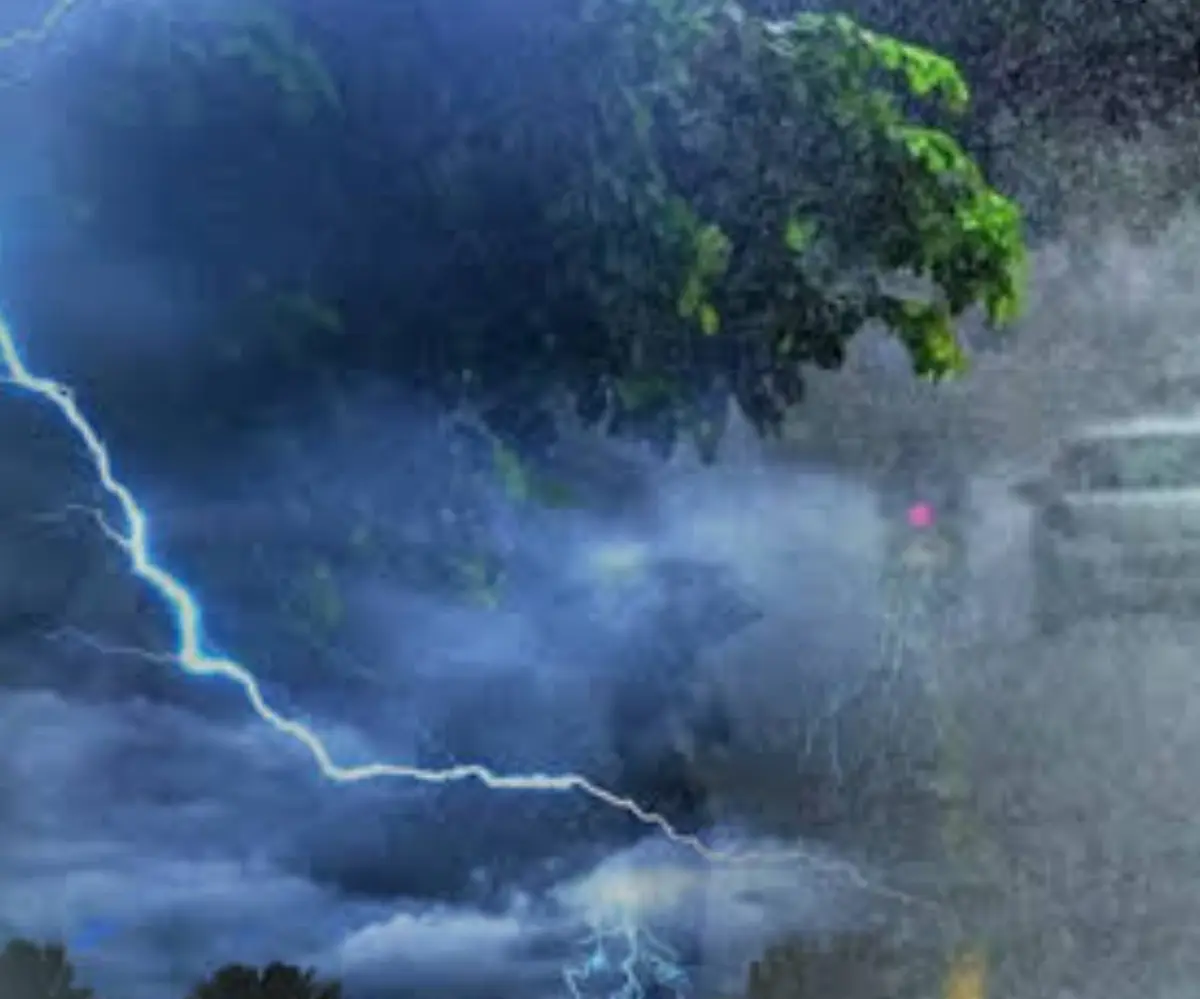 Kerala Rain Alert: സംസ്ഥാനത്ത് തുലാവർഷം ശക്തം; 10 ജില്ലകളിൽ ഓറഞ്ച് അലർട്ട്