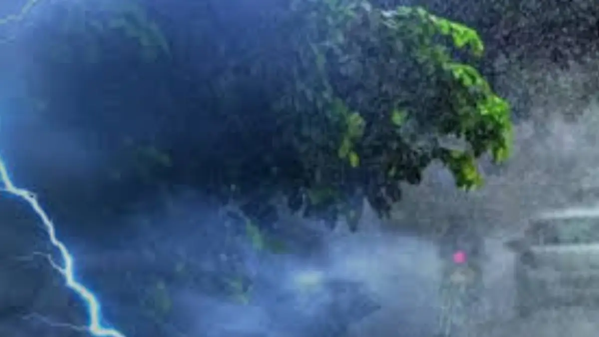 Kerala Rain Alert: സംസ്ഥാനത്ത് തുലാവർഷം ശക്തം; 10 ജില്ലകളിൽ ഓറഞ്ച് അലർട്ട്