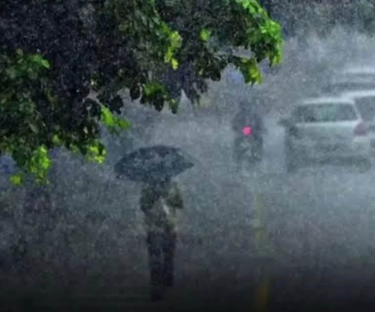 Kerala Rain Alert: เดธเดเดธเตเดฅเดพเดจเดคเตเดคเต เด
เดคเดฟเดคเตเดตเตเดฐ เดฎเดดเดฏเตเดเตเดเต เดธเดพเดงเตเดฏเดคเดฏเตเดจเตเดจเต เดฎเตเดจเตเดจเดฑเดฟเดฏเดฟเดชเตเดชเต; เดจเดพเดณเต เดฎเตเดจเตเดจเต เดเดฟเดฒเตเดฒเดเดณเดฟเดฒเตเด เดคเดฟเดเตเดเดณเดพเดดเตเด เดฐเดฃเตเดเต เดเดฟเดฒเตเดฒเดเดณเดฟเดฒเตเด เดฑเตเดกเต เด
เดฒเตผเดเตเดเต