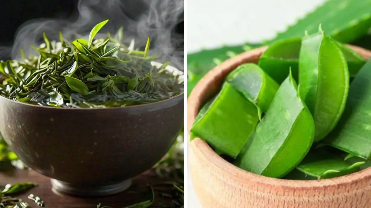 Instant Fresh Look Remedy: ചർമ്മത്തിന് ഫ്രഷ് ലുക്ക് കിട്ടാൻ തണുപ്പിച്ച ഗ്രീൻ ടീയും കറ്റാർവാഴയും ചേർത്തൊരു മാജിക് കൂട്ട്!