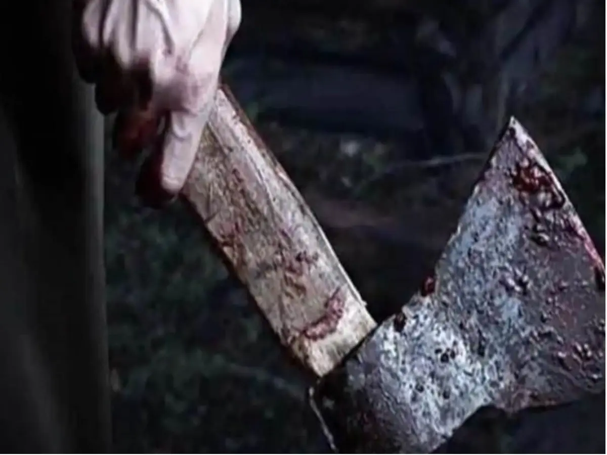 भरतपुर में खाना बना रही मां पर बेटे ने कुल्हाड़ी से किए वार, अधमरा छोड़कर भागा