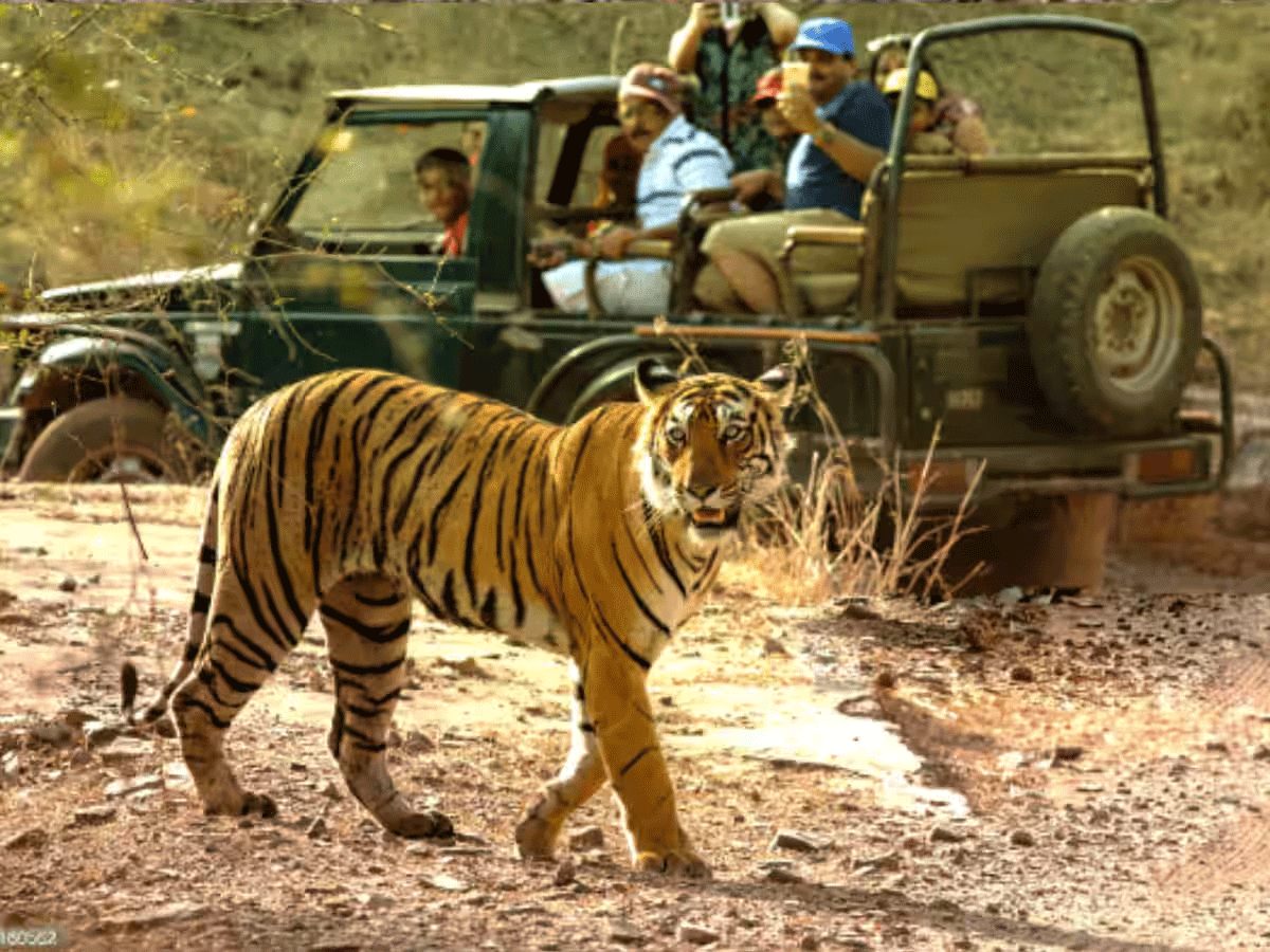 क्या आदमखोर नहीं हुई है कनकटी ?