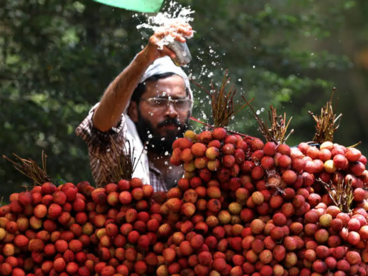 राजस्थान में नौतपा