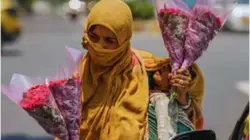 Rajasthan Weather Update: राजस्थान में गर्मी का कहर, नौतपा से पहले ही बढ़ा तापमान, हीटवेव से लोगों का हाल बेहाल
