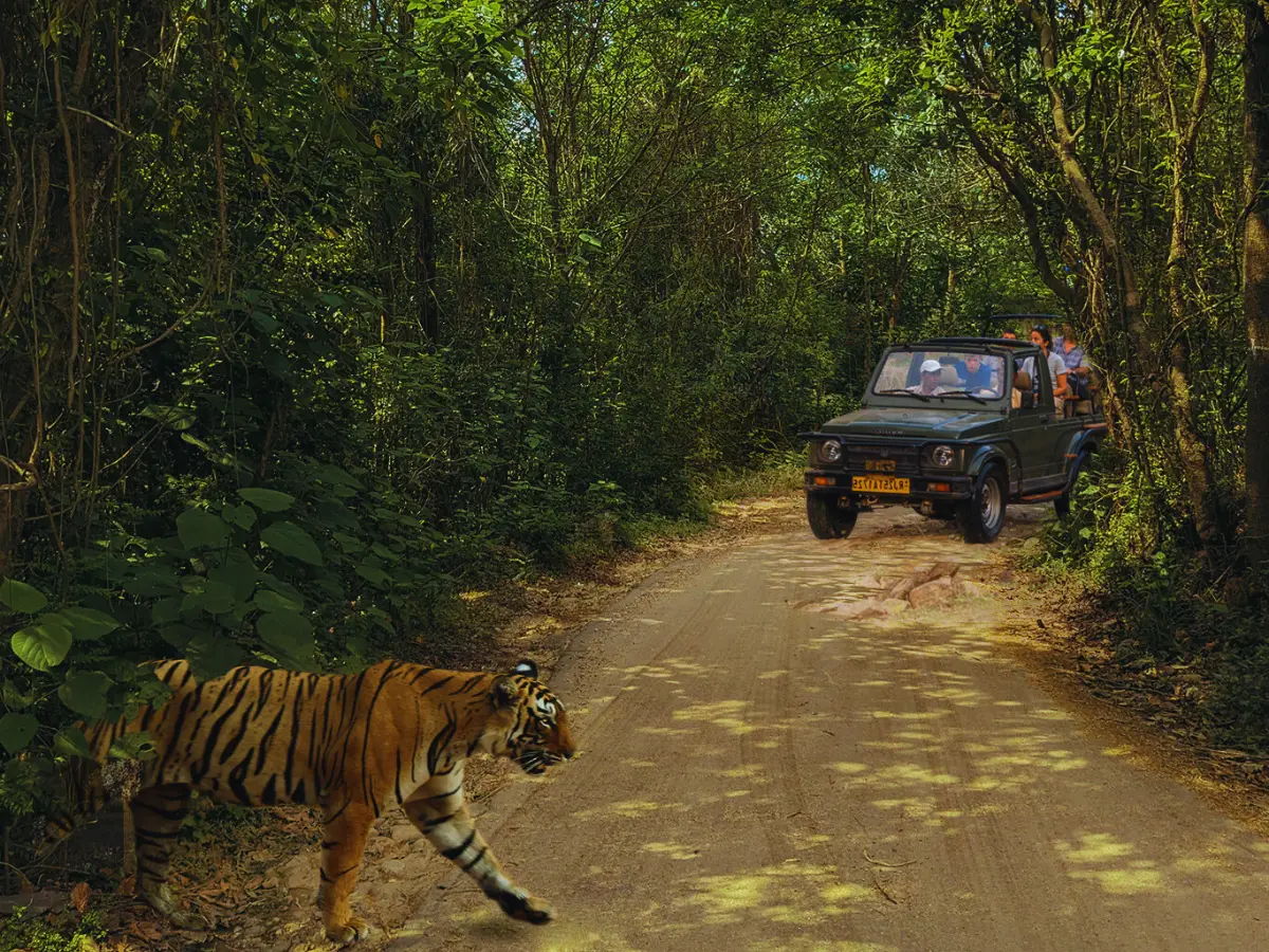 Ranthambore tiger reserve
