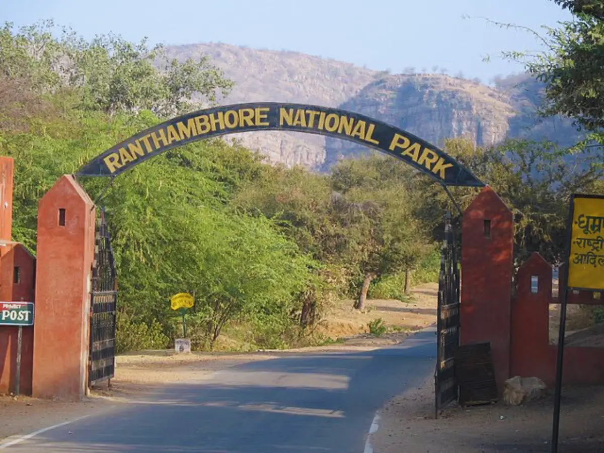 Ranthambore tiger reserve