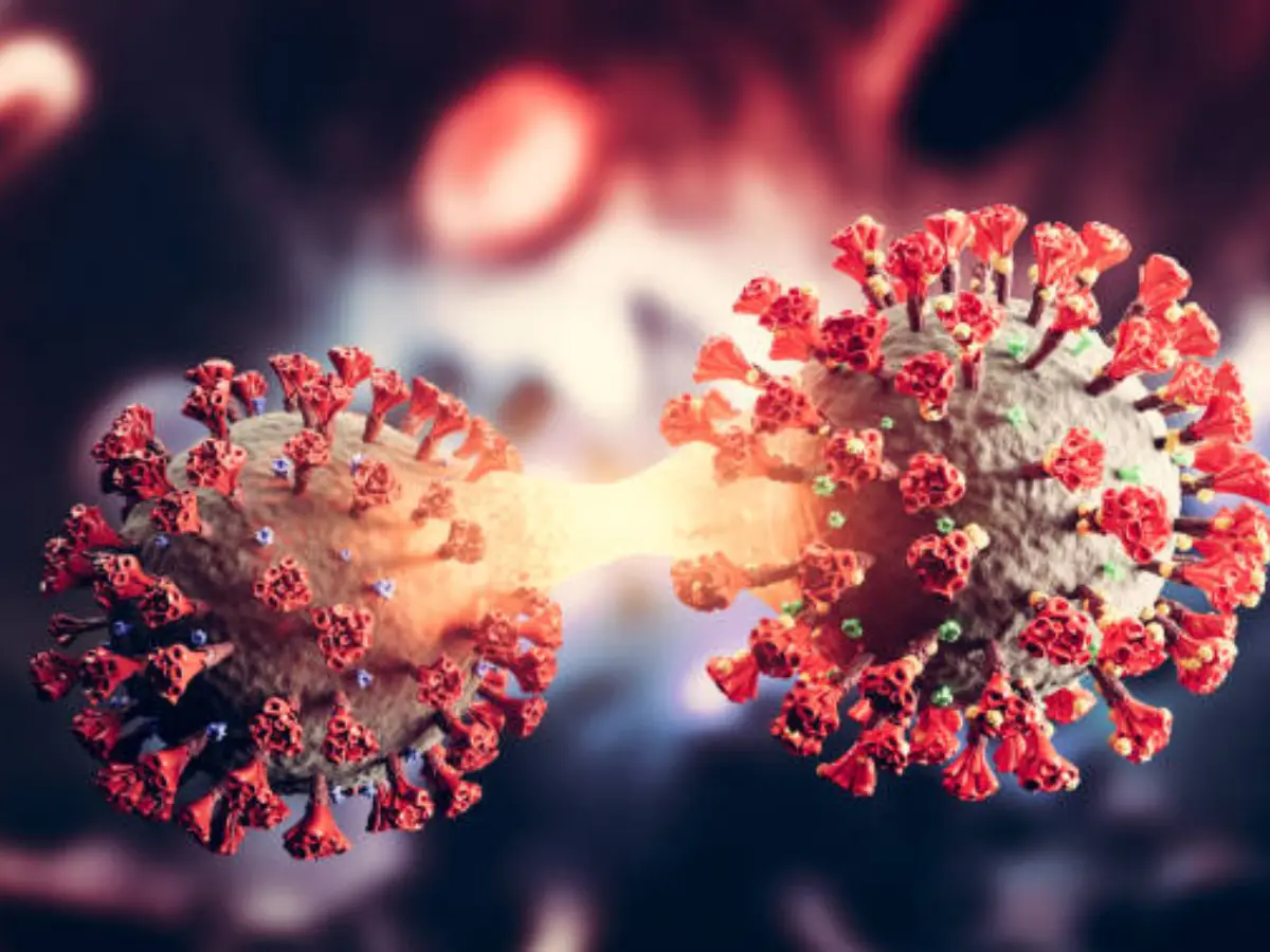 Rajasthan Corona Case:  कोरोना को लेकर फिर बढ़ाया गया अलर्ट,एमडीएम अस्पताल में भी तैयारियां, आमजनता से गाइडलाइन की पालना की अपील