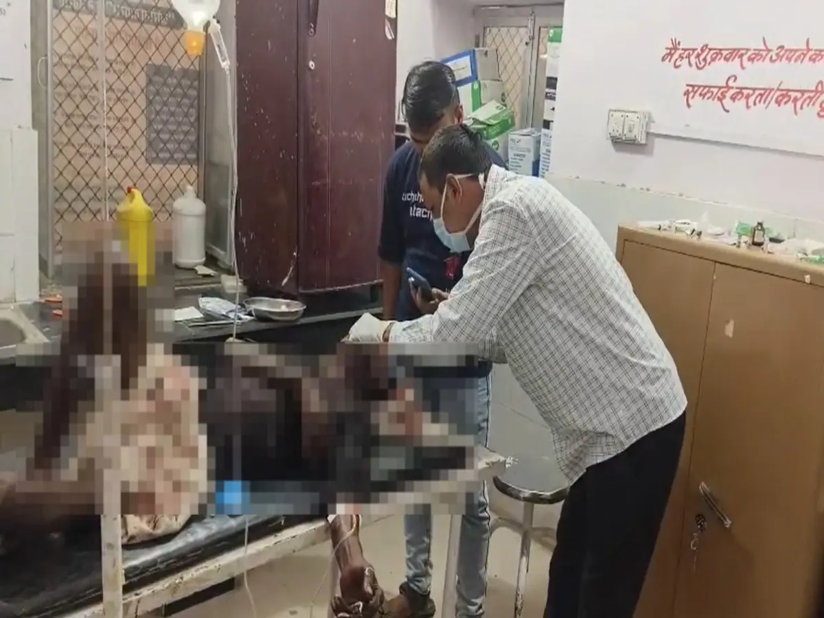 Bhilwara News: भीलवाड़ा में कहर बनकर टूटा पैंथर, 12 साल के बच्चे समेत 3 पर जानलेवा हमला Bhilwara News: भीलवाड़ा में कहर बनकर टूटा पैंथर, 12 साल के बच्चे समेत 3 पर जानलेवा हमला