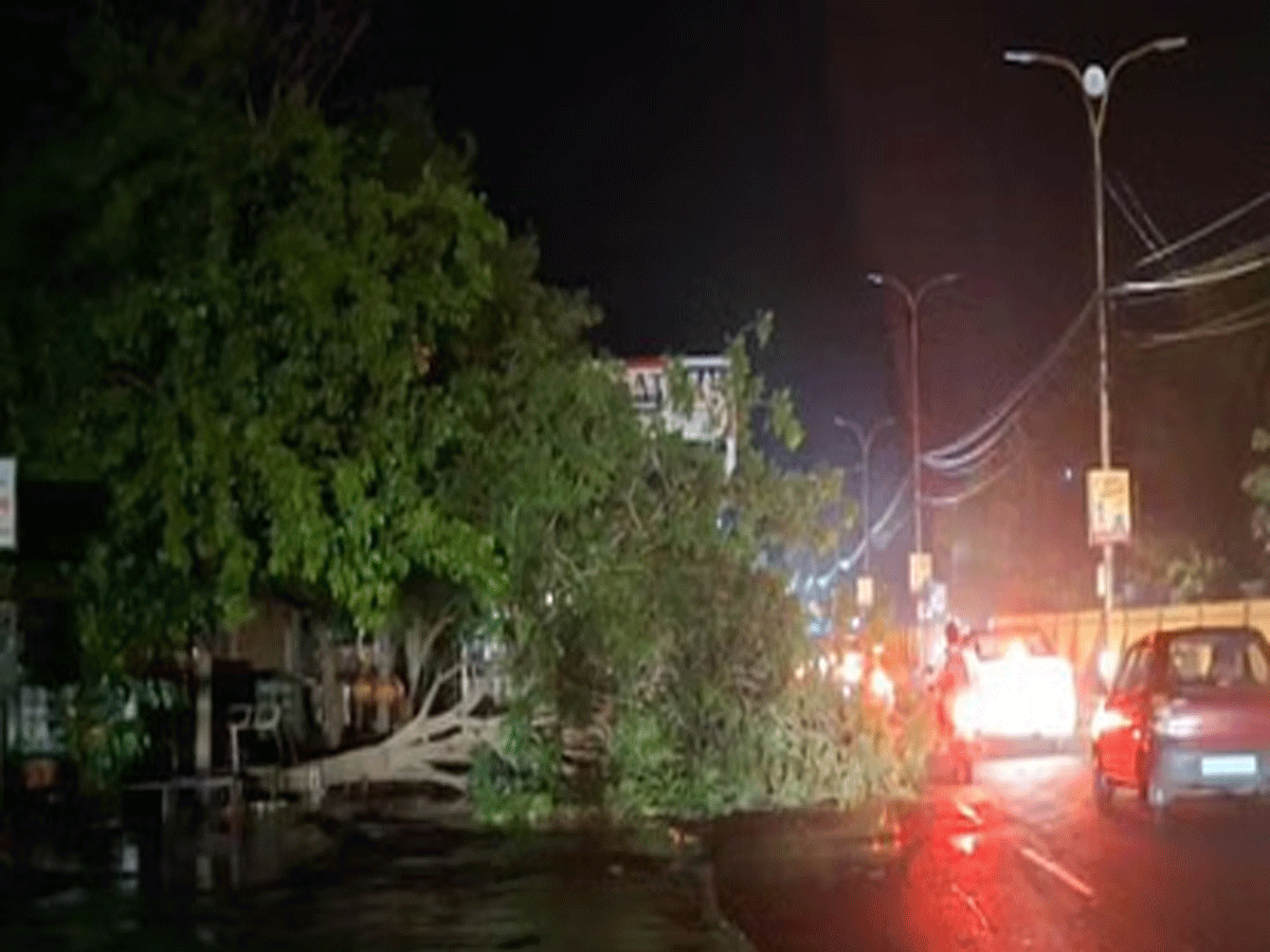 Rajasthan Weather Today : राजस्थान में बदला मौसम, आंधी-तूफान और बारिश का अलर्ट जारी...!
