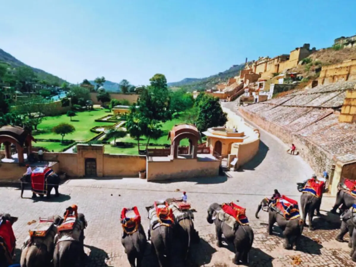 हाथी सवारी