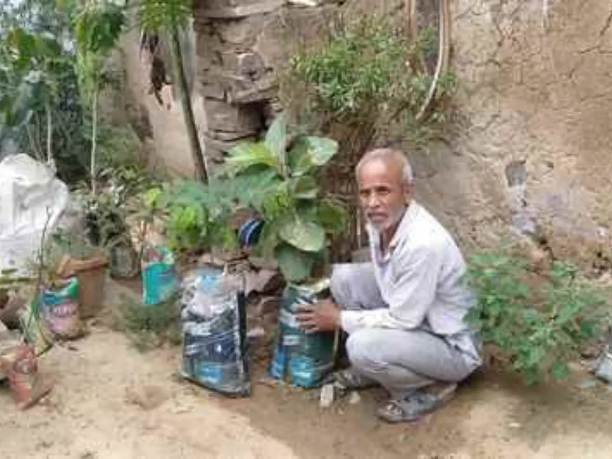 पिछले 45 वर्षों में एक लाख से अधिक पौधों का किया रोपण, आज बन गए ट्री मैन! पिछले 45 वर्षों में एक लाख से अधिक पौधों का किया रोपण, आज बन गए ट्री मैन!