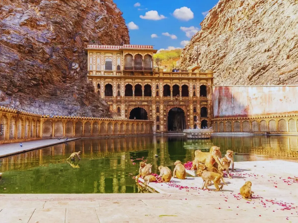 बंदर मंदिर