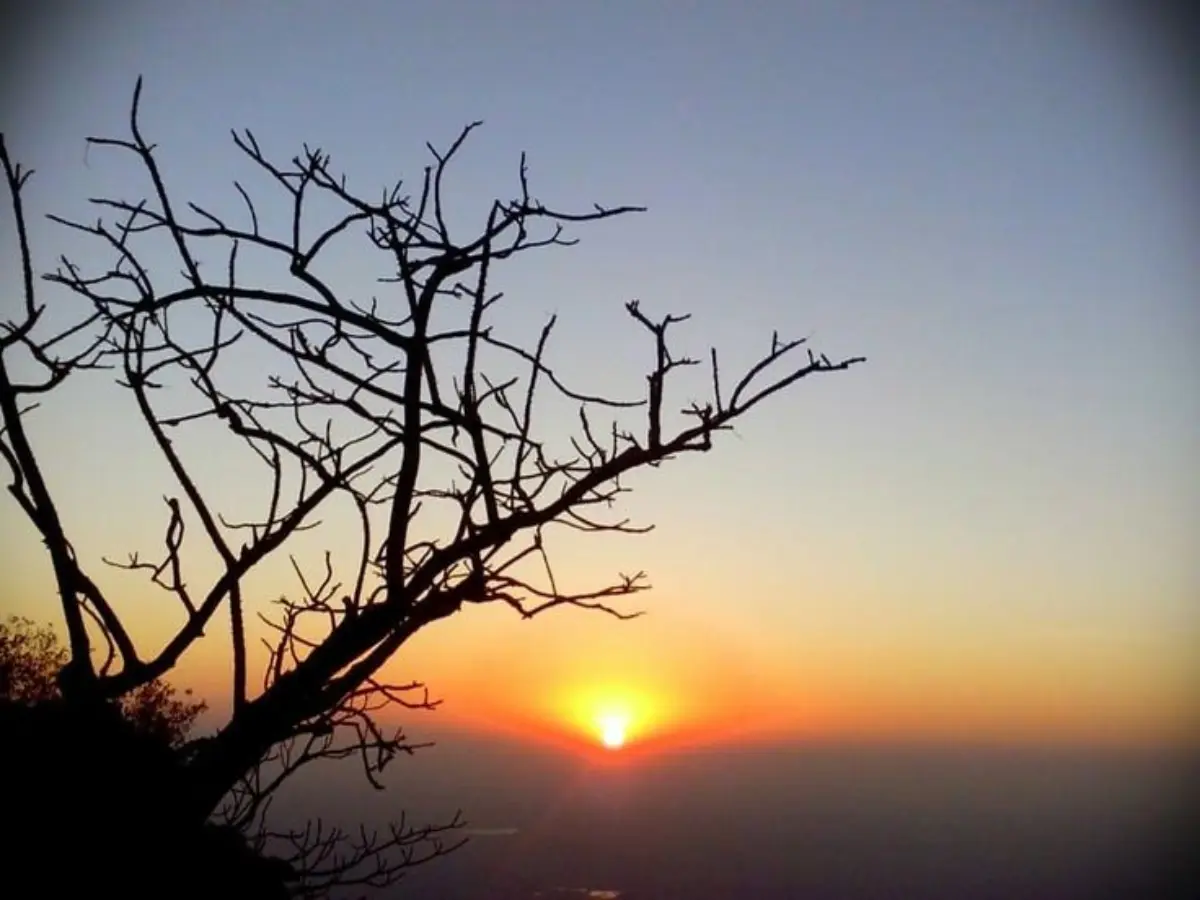 माउंट आबू क्यों है खास?