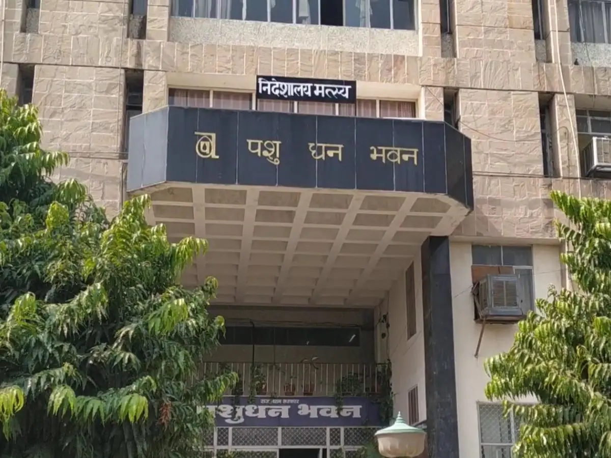 राजस्थान पशुपालन विभाग में 625 पदों पर अस्थाई भर्ती, दो दिन में जारी होंगे नियुक्ति आदेश