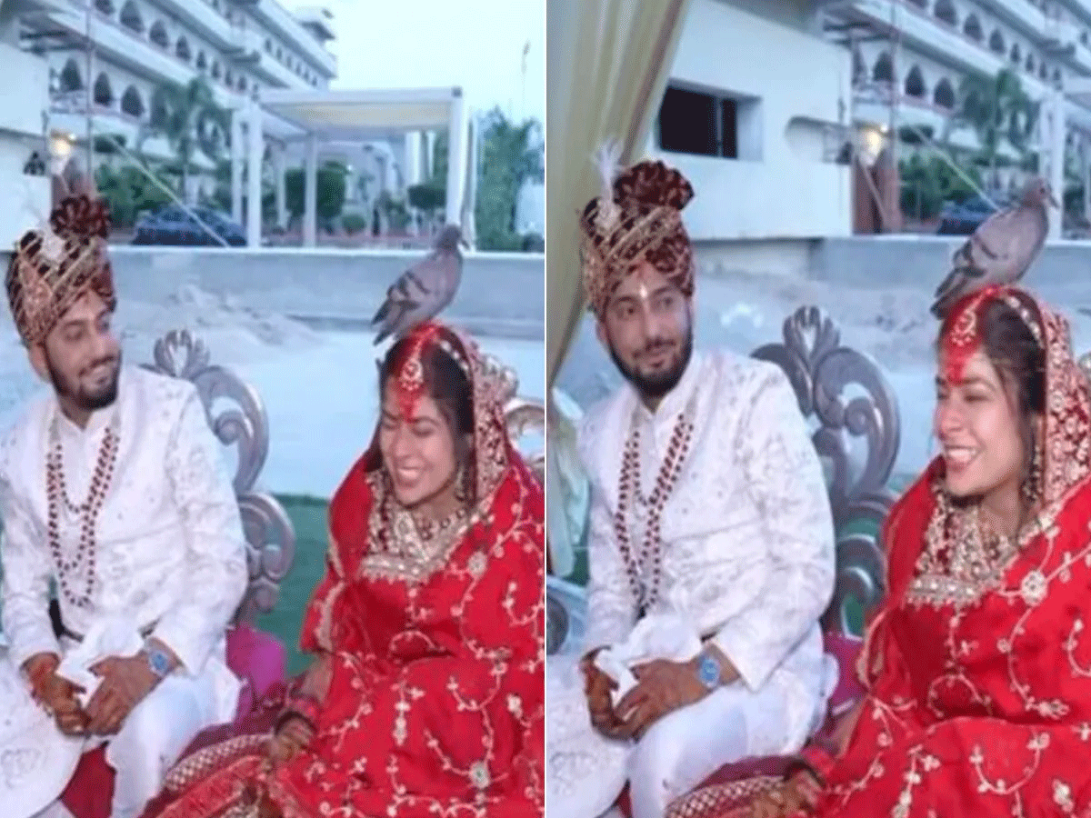 कबूतर बन राजस्थानी दुल्हन को आशीर्वाद देनी आई पूर्वजों की आत्मा! वीडियो वायरल कबूतर बन राजस्थानी दुल्हन को आशीर्वाद देनी आई पूर्वजों की आत्मा! वीडियो वायरल