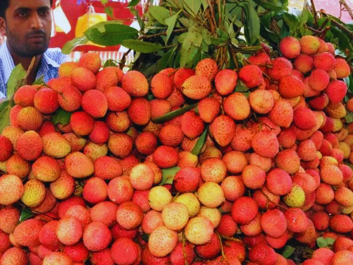 स्वास्थ्य लाभ