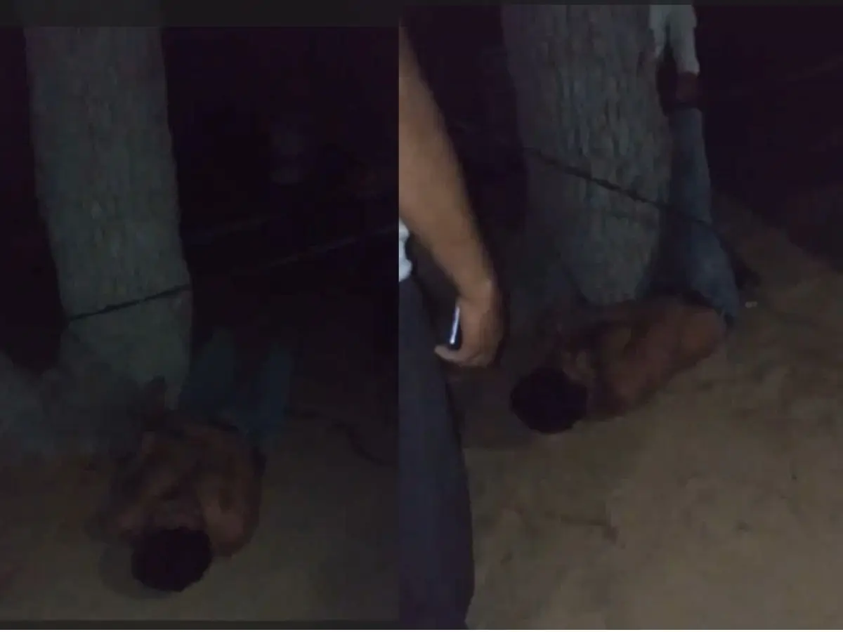 युवक को पेड़ से बांधकर बेरहमी से पीटा, वीडियो सोशल मीडिया पर वायरल युवक को पेड़ से बांधकर बेरहमी से पीटा, वीडियो सोशल मीडिया पर वायरल