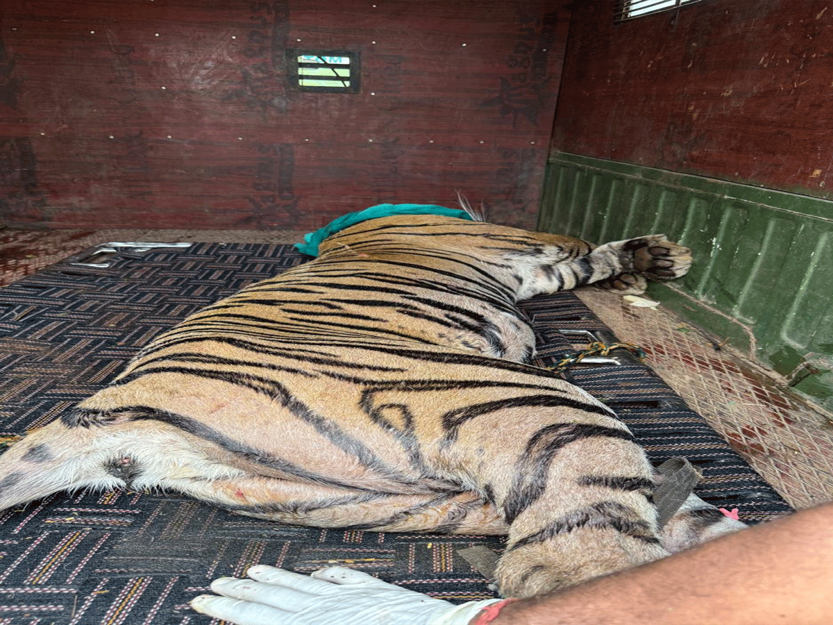 Ranthambore National Park