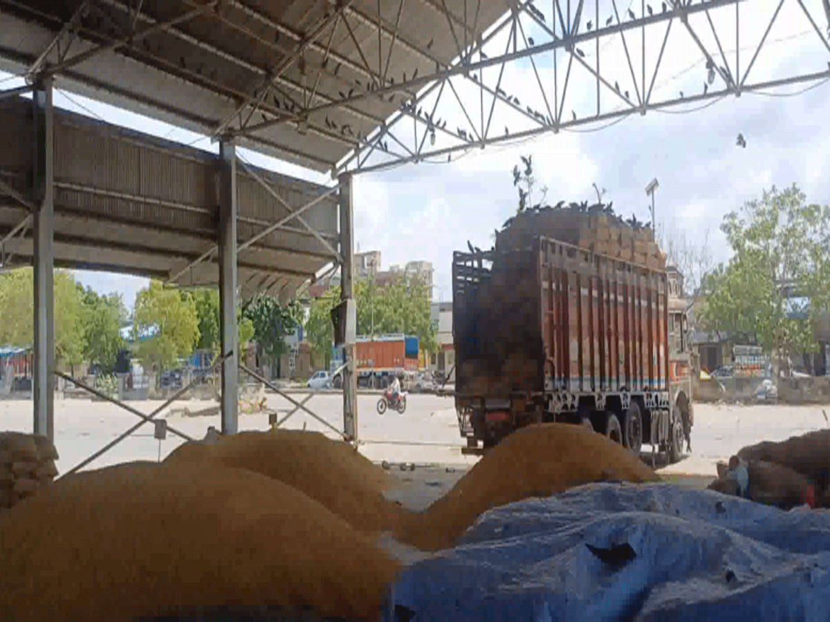 Kota News: भामाशाह मंडी में टीन शेड की कमी, हो सकता है करोड़ों का नुकसान!