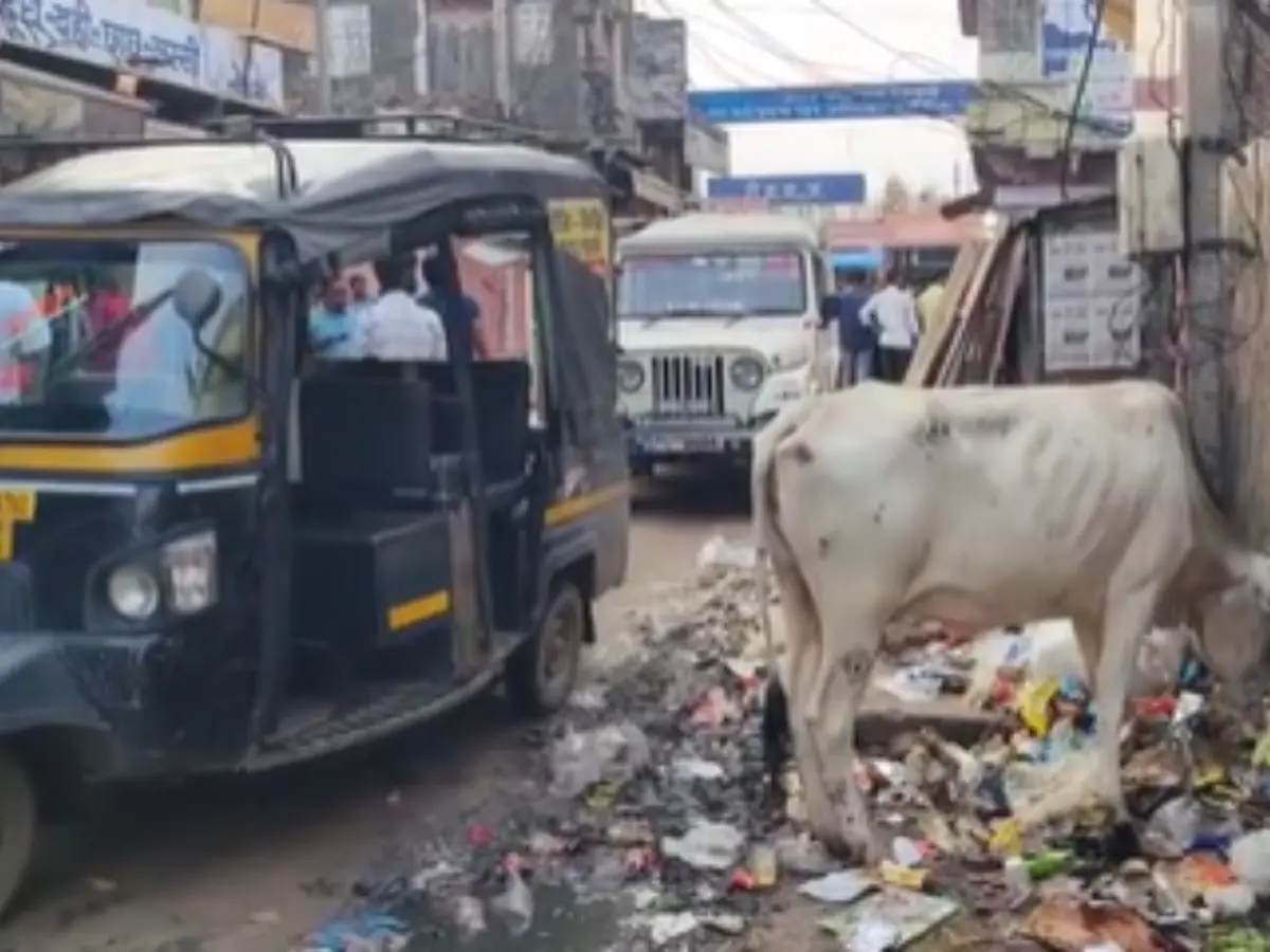 Sikar News: खाटू श्याम जी जाने वाले भक्तों के लिए रींगस बना चुनौती, अव्यवस्थाओं का बोलबाला, श्रद्धालुओं को हो रही परेशानी