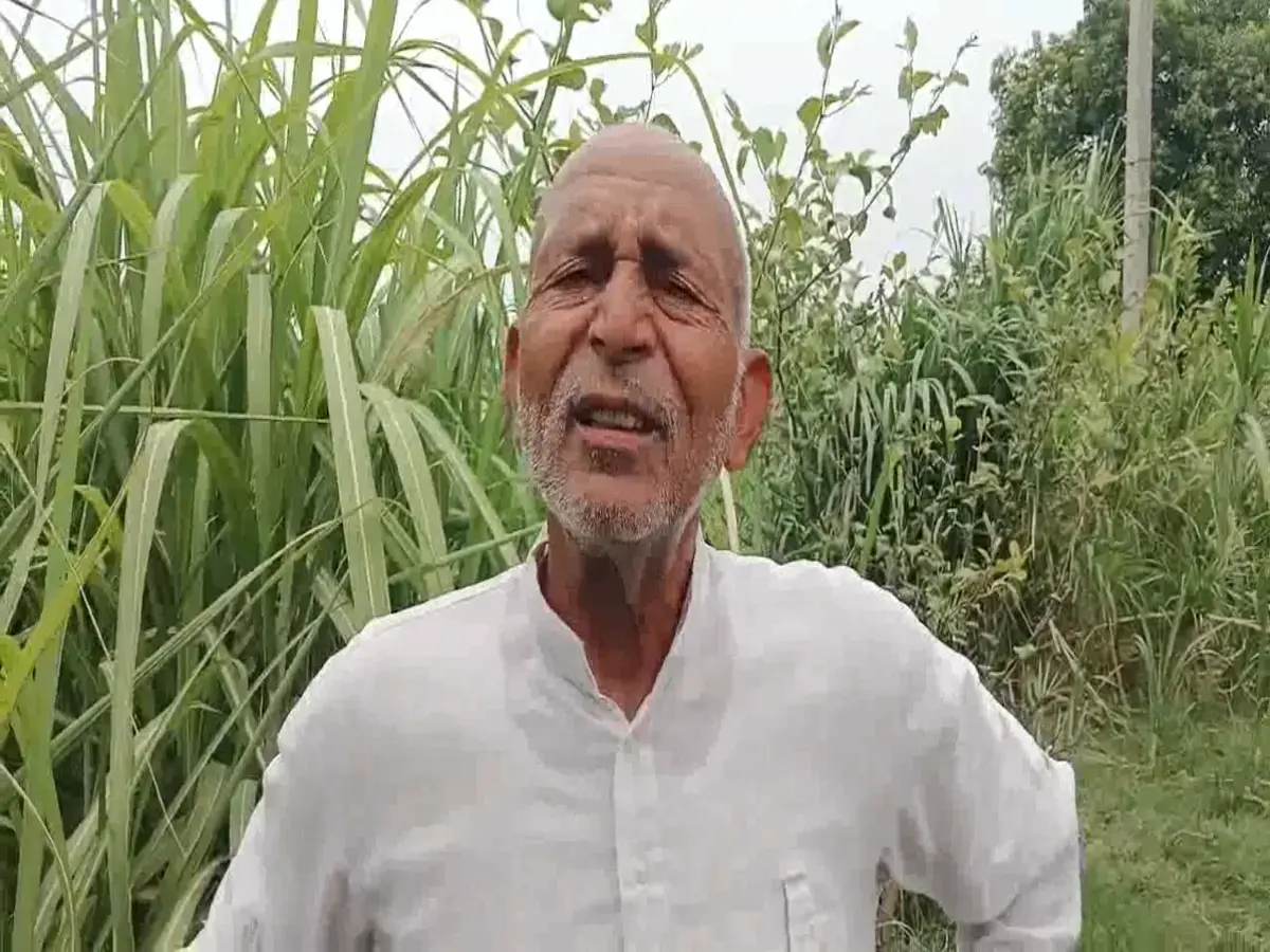 Zero Budget Farming: जीरो बजट से बदली खेती की तस्वीर, सवाई माधोपुर के किसान ने किया कमाल