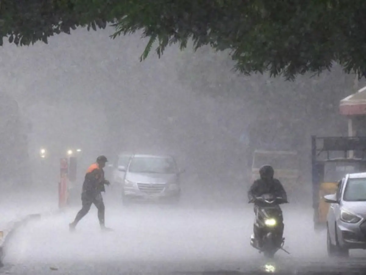 Rajasthan News: राजगढ़ क्षेत्र में बारिश का जश्न, नदी और एनीकटों में पानी की आवक