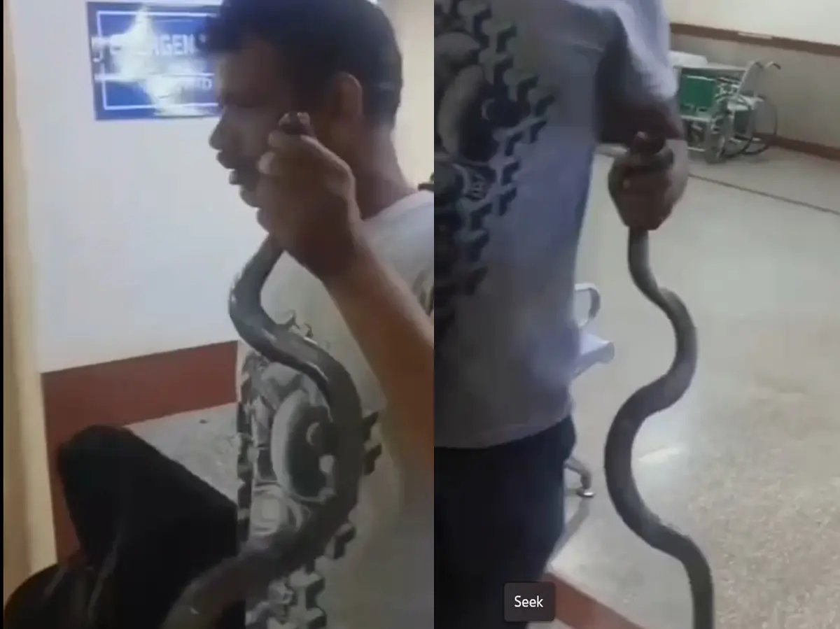 Video: सांप ने डसा तो इमरजेंसी लेकर पहुंचा शख्स, बोला- इसने काटा है, इलाज करो जल्दी
